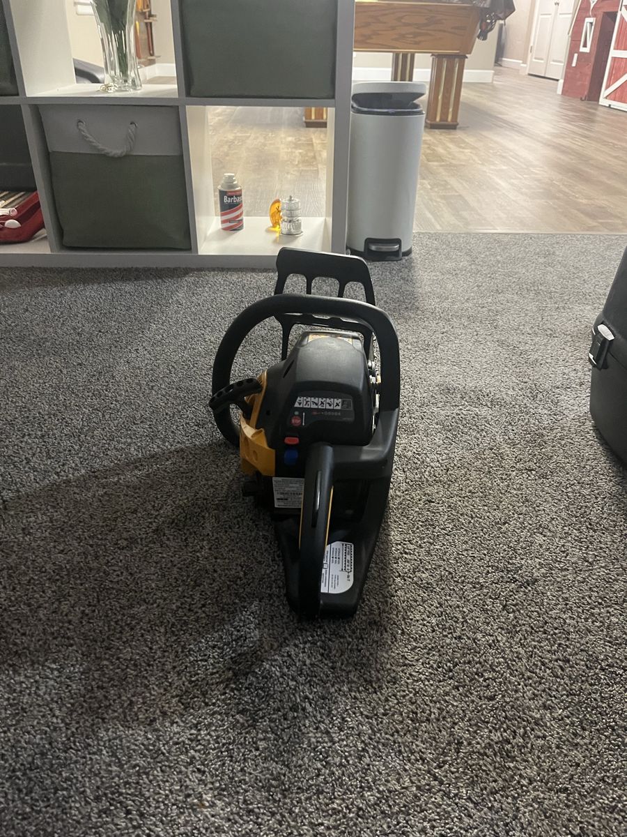 Chainsaw with case