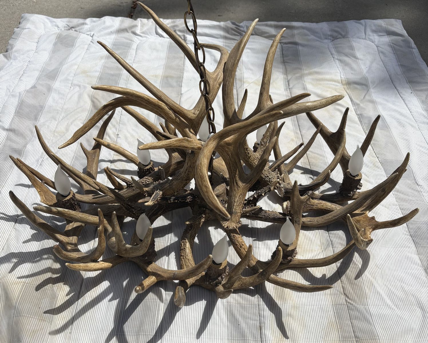 Deer Antler Chandelier