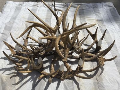 Deer Antler Chandelier