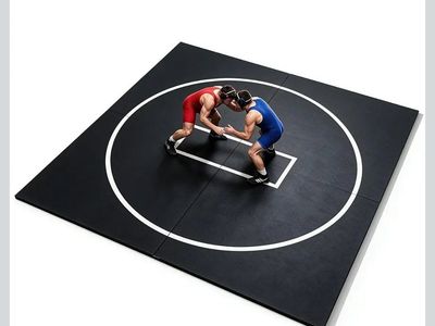 *NEW* High Quality 10' x 10' Wrestling Mat