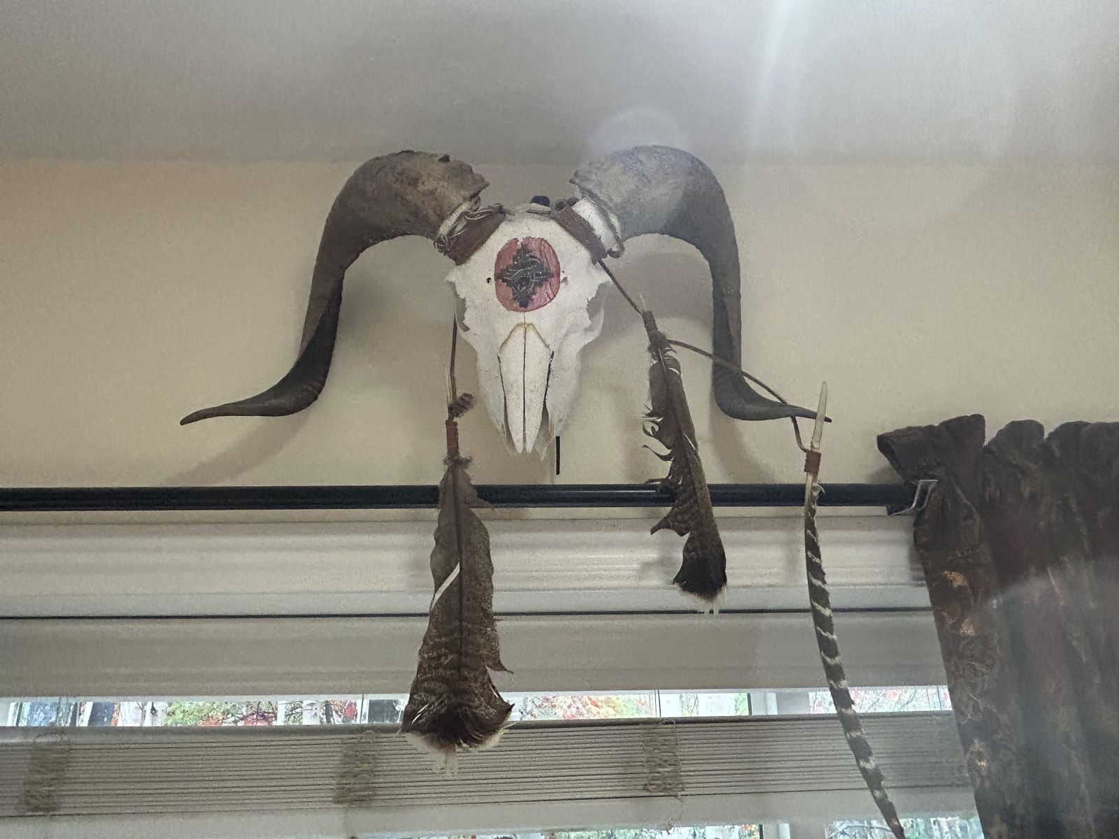 REAl Ram head with creative painting & feathers