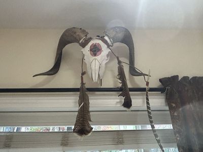 REAl Ram head with creative painting & feathers