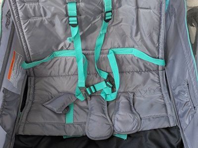 InStep Double Bike Trailer and Stroller in Teal and Gray