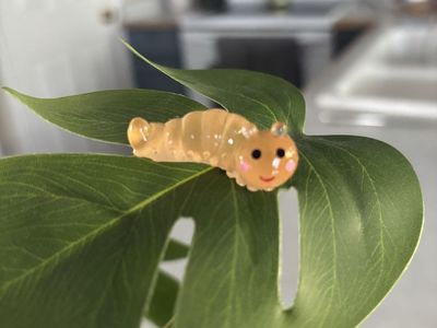 Adorable Plant Pet Caterpillar Magnets - Lots available