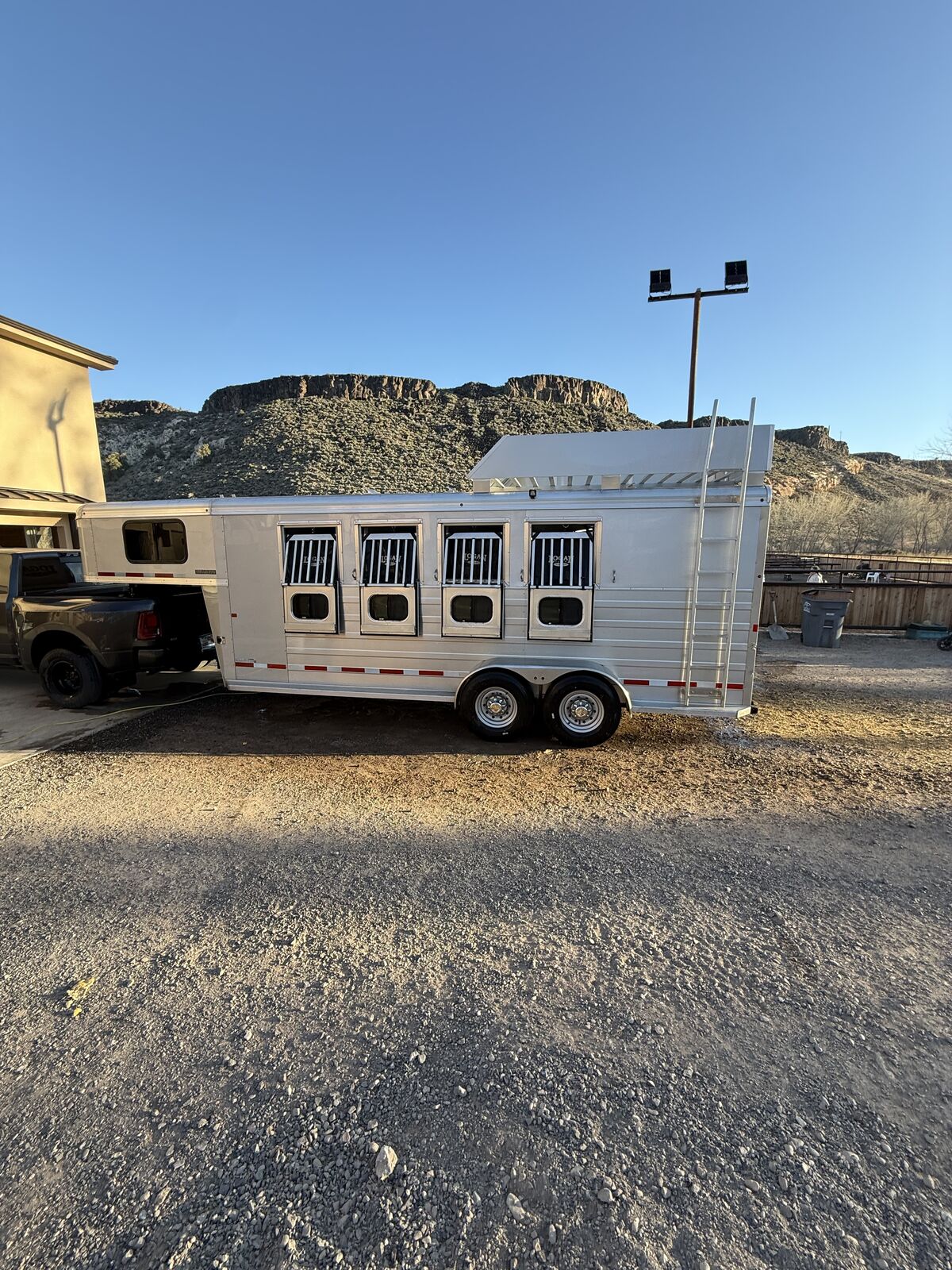 Logan bullseye 4 horse