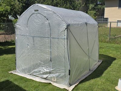 6x8 Green House