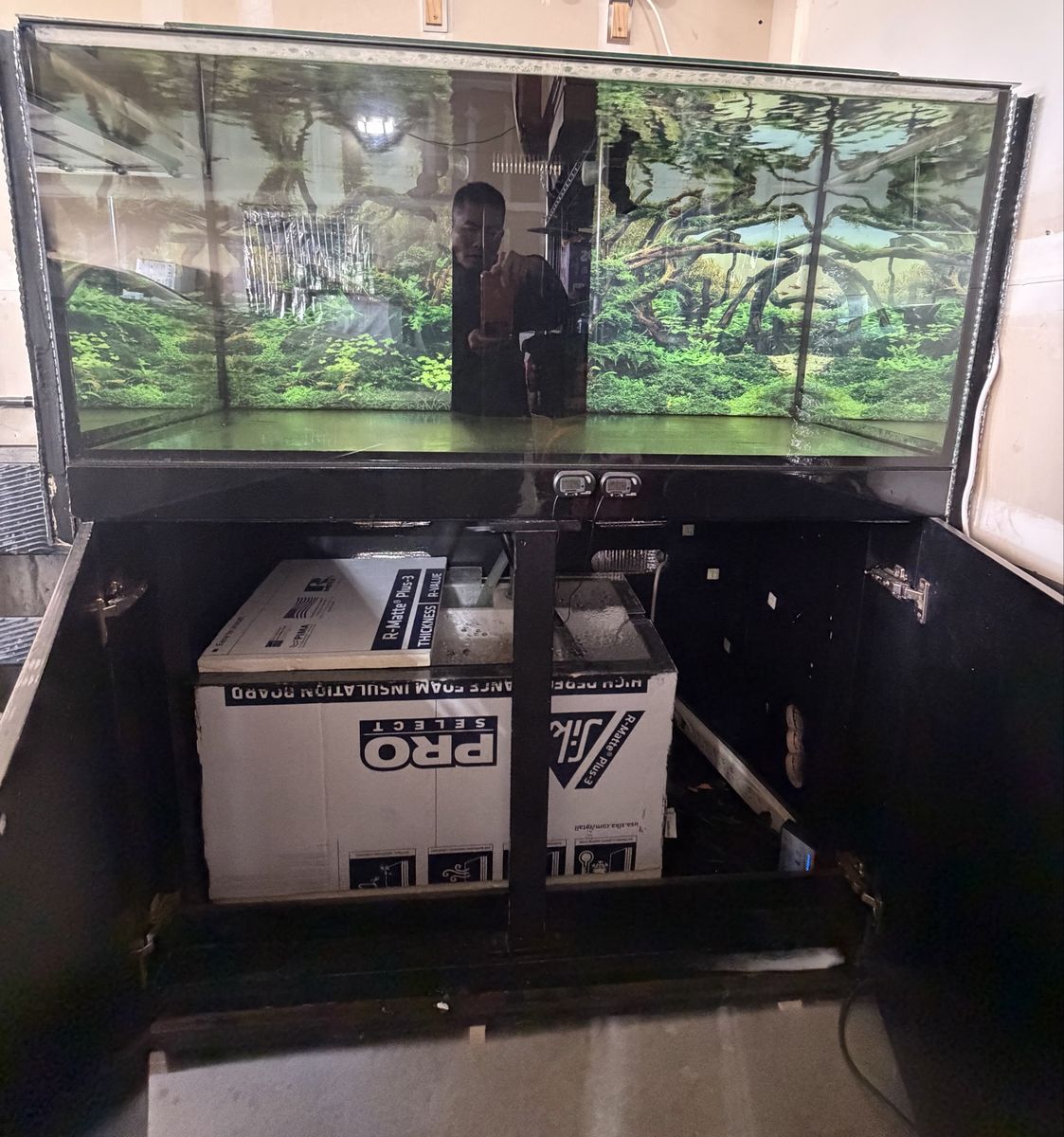 aquarium rimless tank complete set up