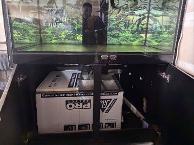 aquarium rimless tank complete set up