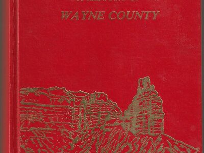 Rainbow Views: A History of Wayne County