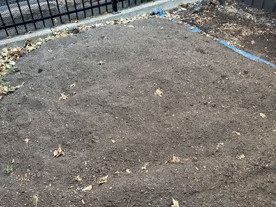 FREE TOP SOIL and GARDEN BOXES
