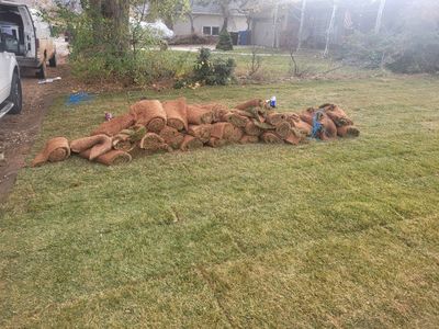 Low Price Landscape and Sprinklers