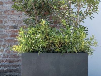 DEROMA Millennium Planter 31x15x15"