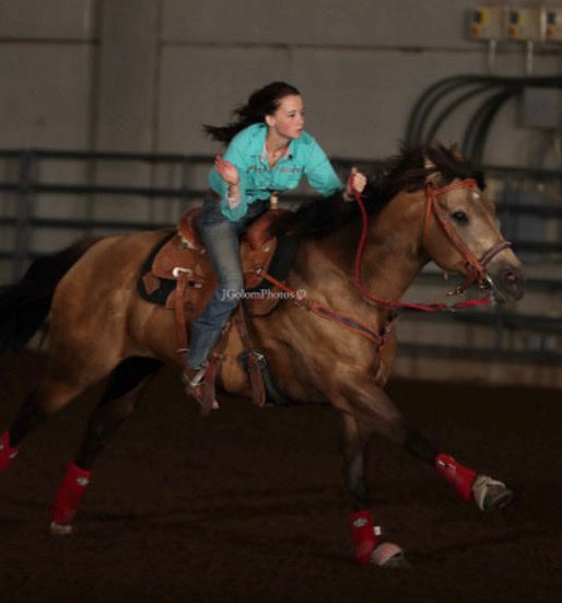 2009 buckskin mare barrel horse daughter of cowboy
