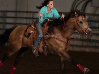 2009 buckskin mare barrel horse daughter of cowboy