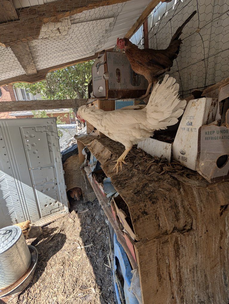 Main image 3