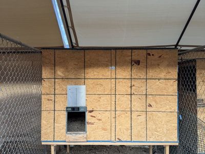 Chicken Coop