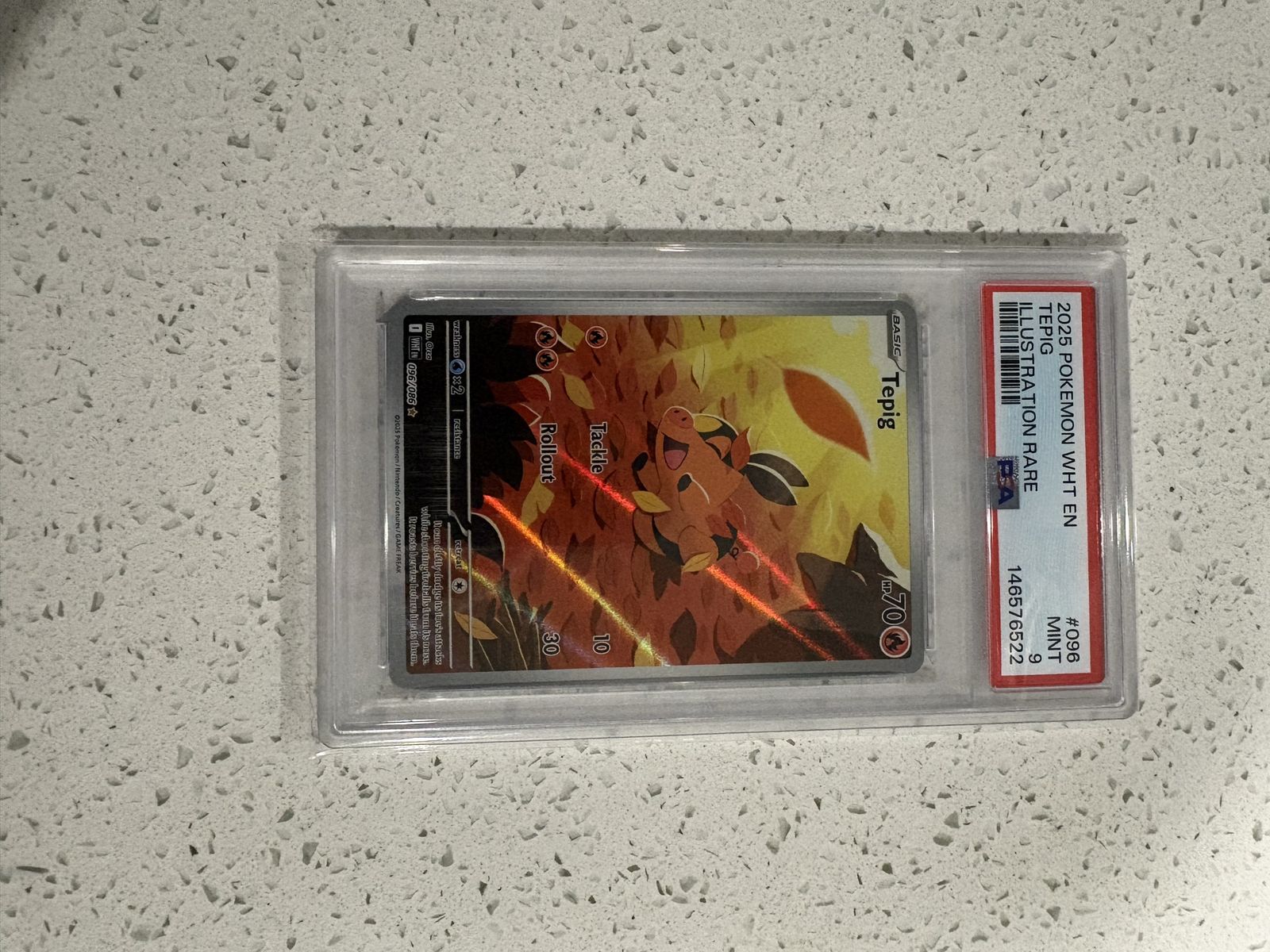 2025 Pokemon Tepig 096 White Flare Illustration Rare TCG PSA Mint 9