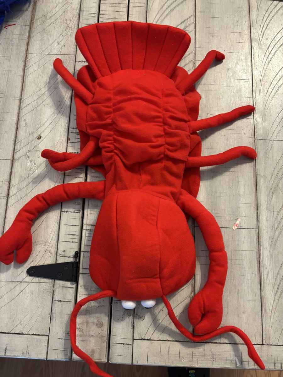 Puppy lobster costume 