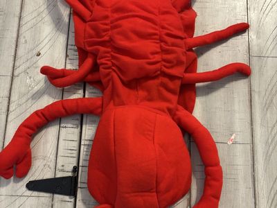 Puppy lobster costume