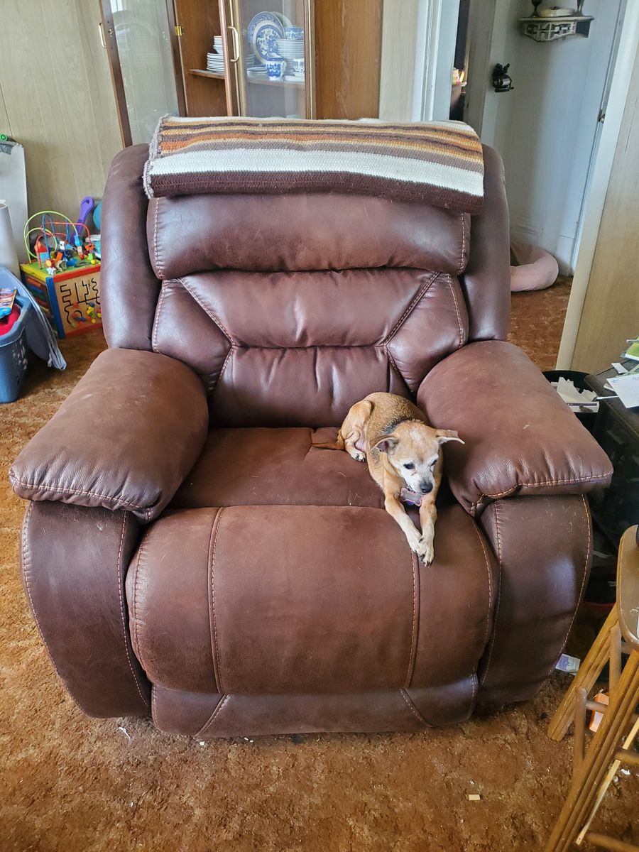 Leather recliner $150 obo