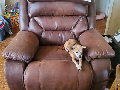 Leather recliner $150 obo