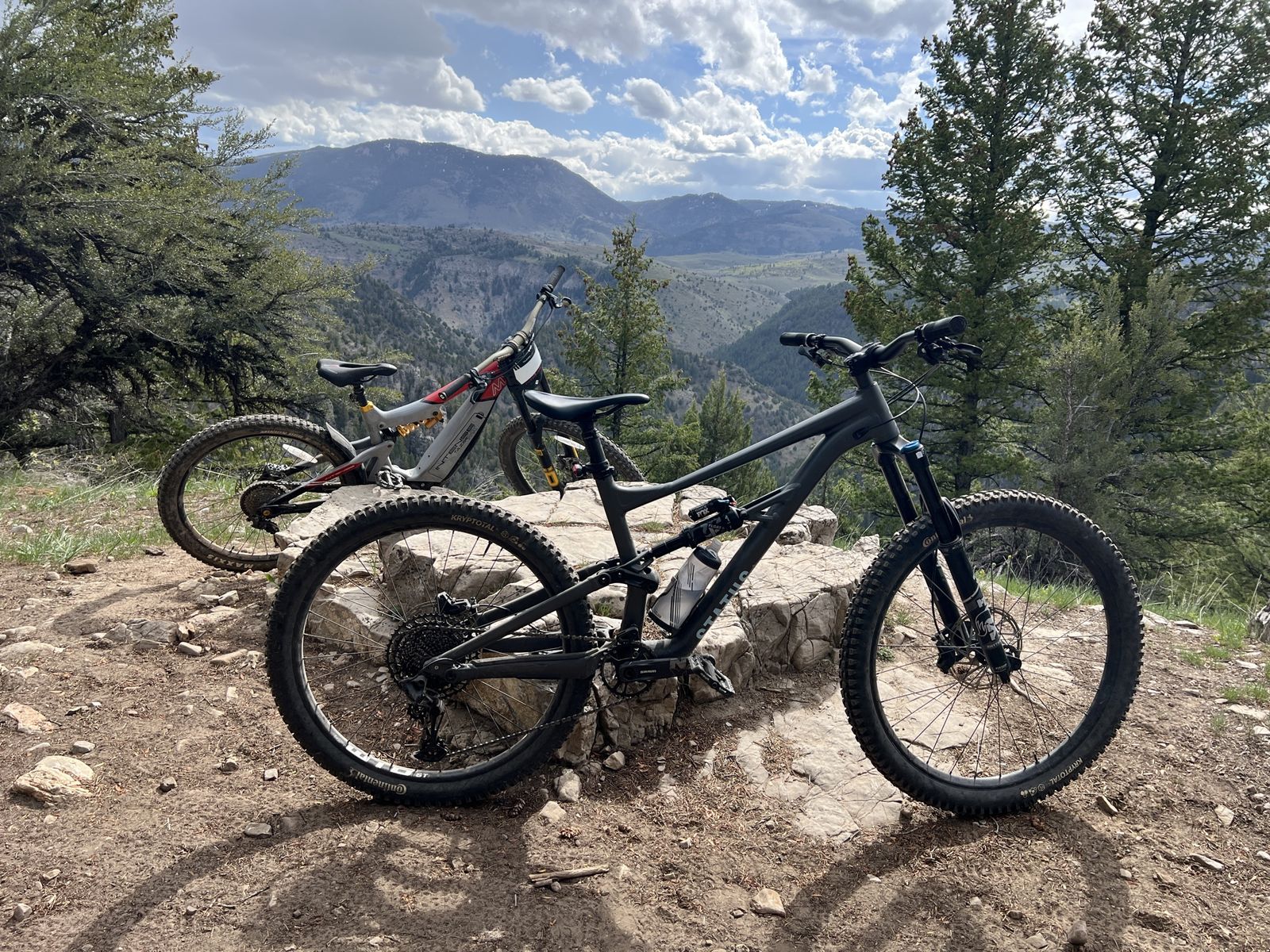 Specialized Status