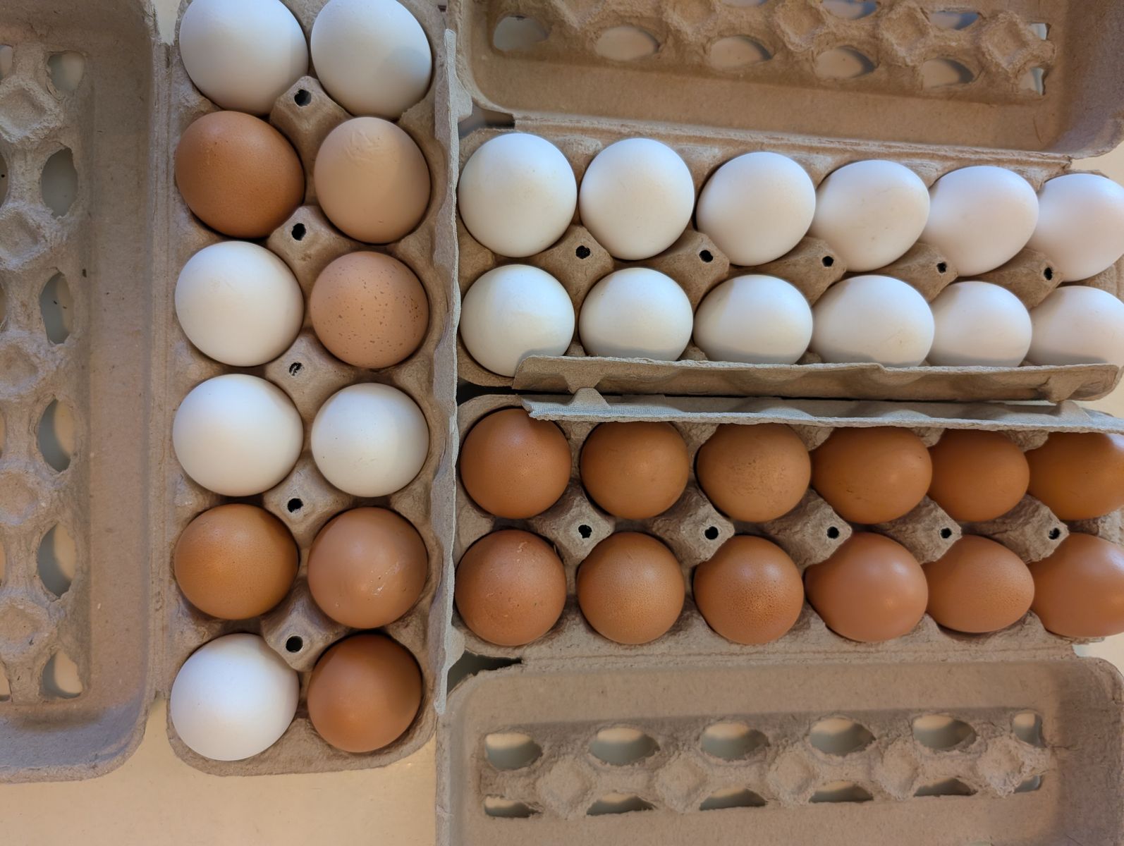 Farm fresh eggs 5$.  Mapleton.