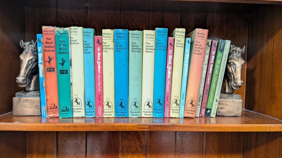 Vintage black stallion book collection & bookends
