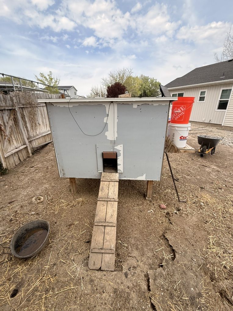 Chicken Coop