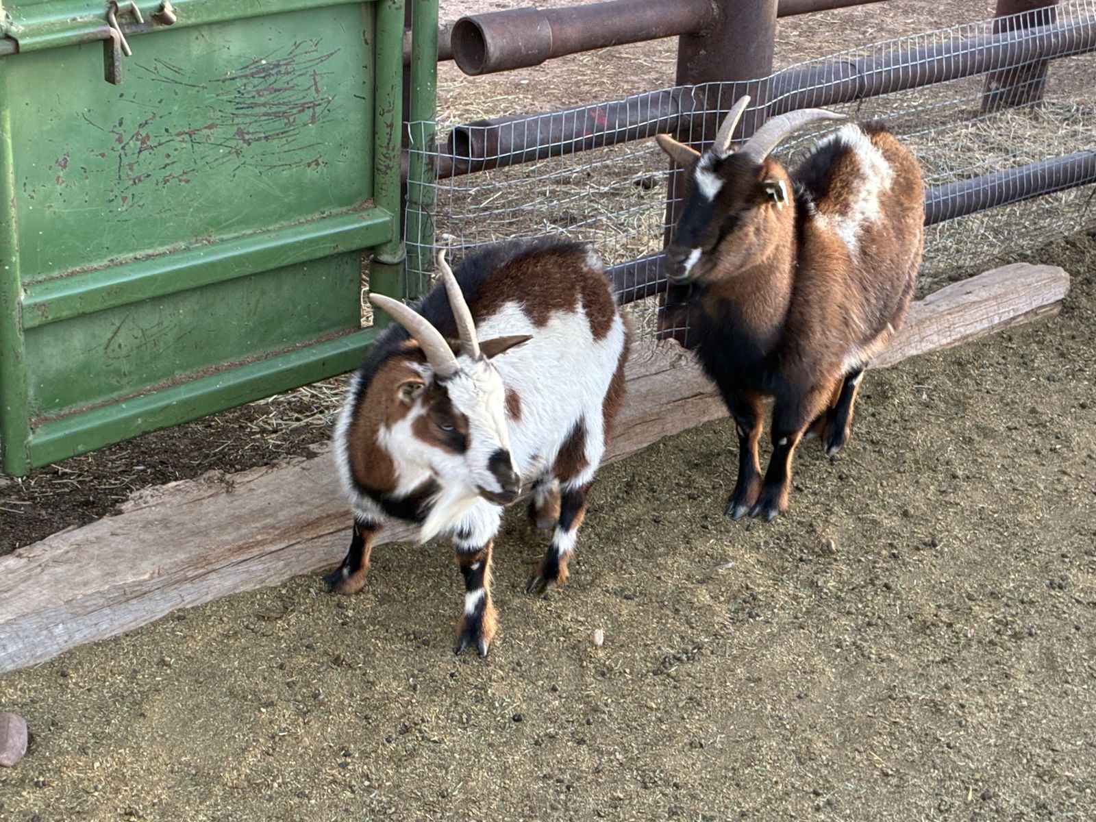 Take unwanted goats