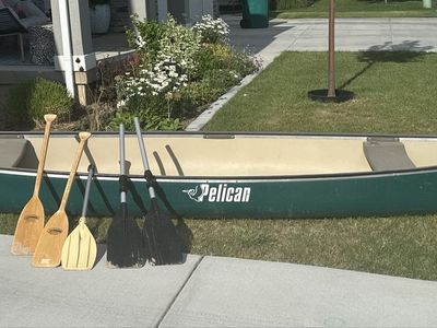 Pelican 15.5 Canoe - Green 15.5 ft Recreational Canoe with Paddles