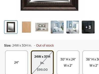 24x30 Kenroy Home Amiens Mirrors, Medium, Bronze