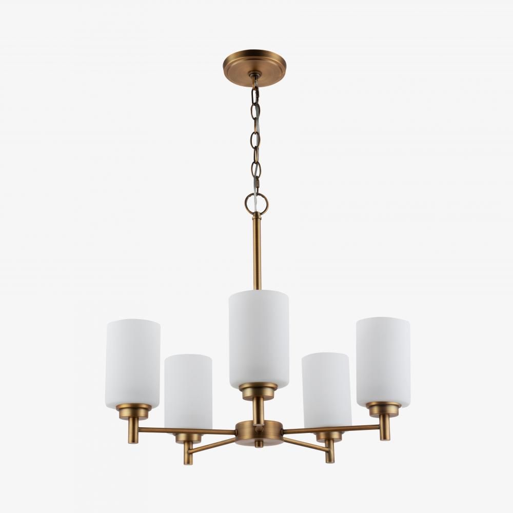 Modern 5 Light Chandelier Brass Finish Frosted Cylinder Glass