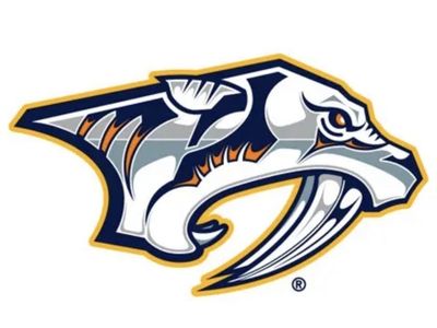 Mammoth Vs Nashville Predators Lower Bowl