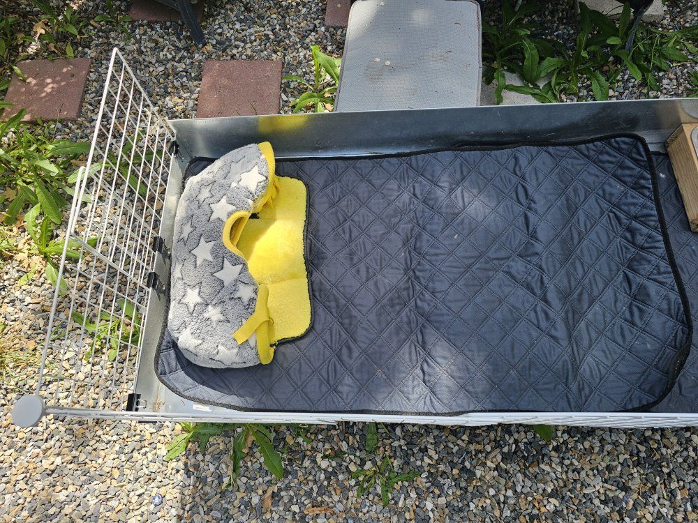 Main image 2