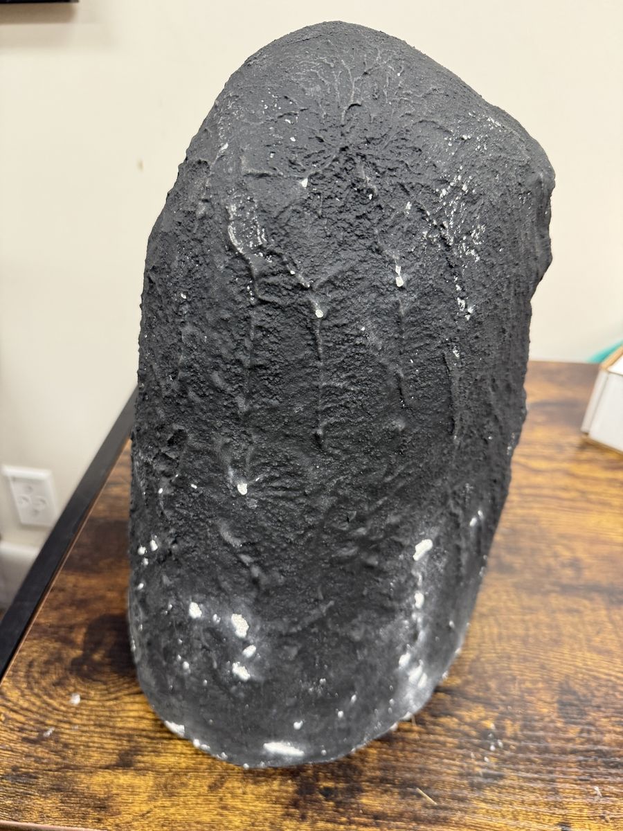 Main image 7