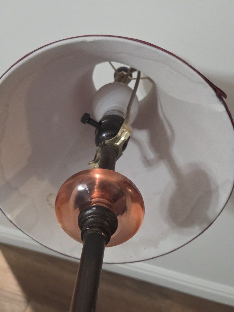 Main image 6