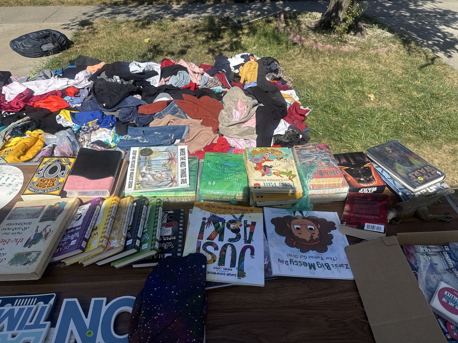 Various Used Books: Children's, Fiction, Non-Fiction - Harry Potter, Star Wars, Wimpy Kid & more