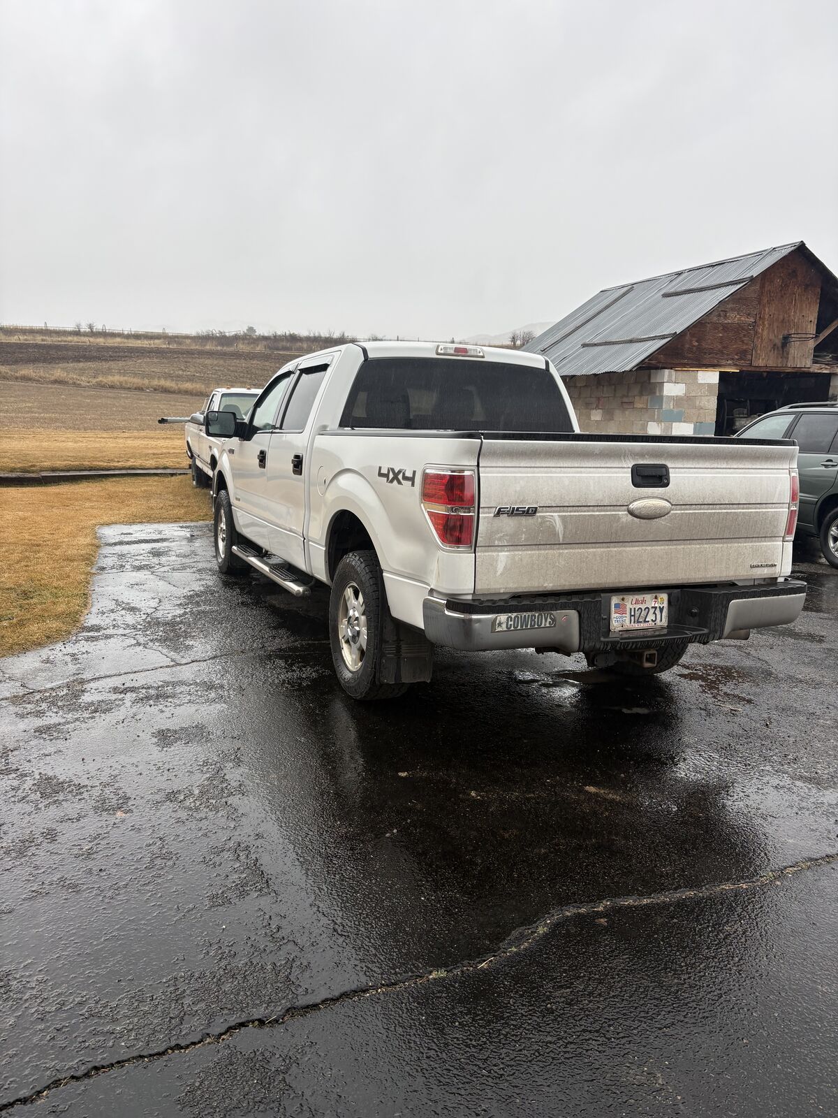 2014 FORD F150 XLT