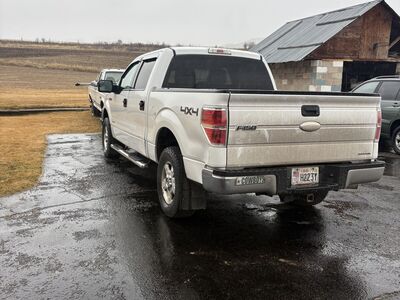 2014 FORD F150 XLT