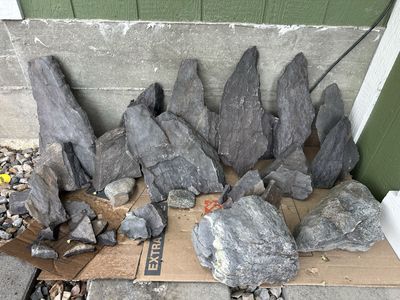 Decorative Rocks