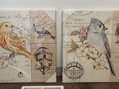Canvas Bird Paintings