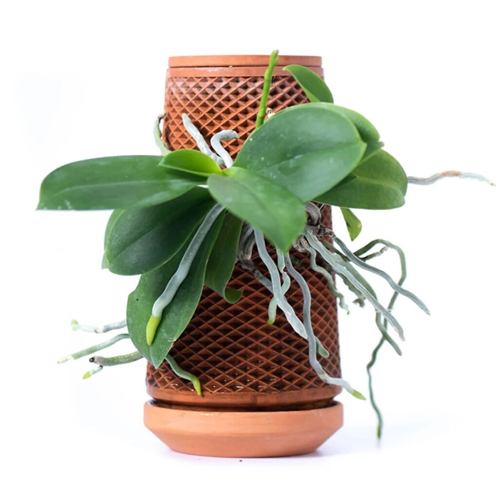 Tevaplanter Self Watering terracotta planter