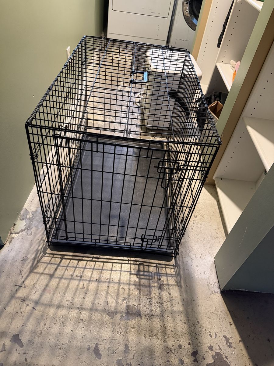 Dog Kennel