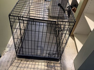 Dog Kennel