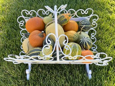 Curved and Decorative Metal Basket - Vintage