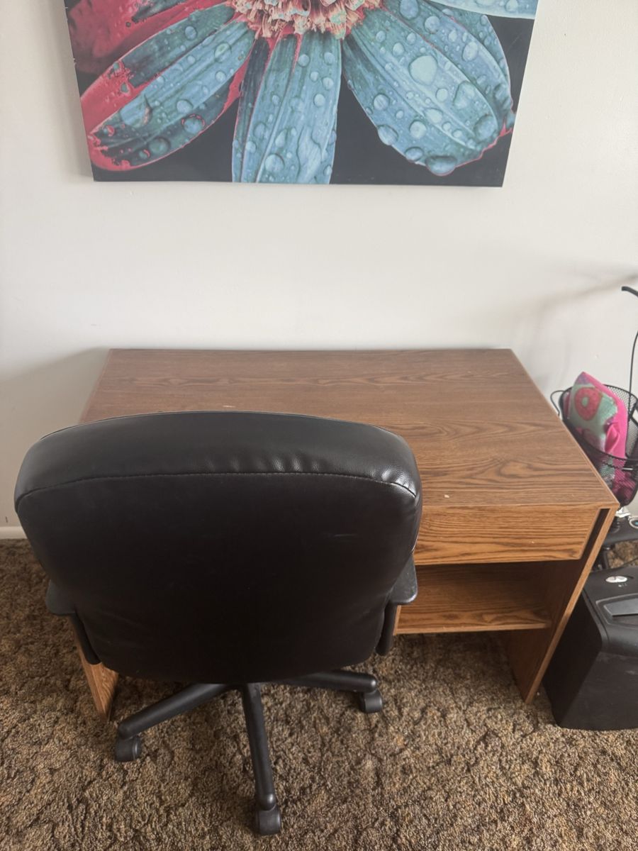Wooden Office Desk with Storage