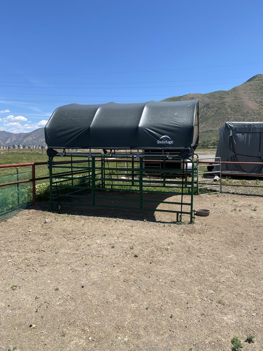 Shelter Logic corral cover 12 c 12 with corral panels