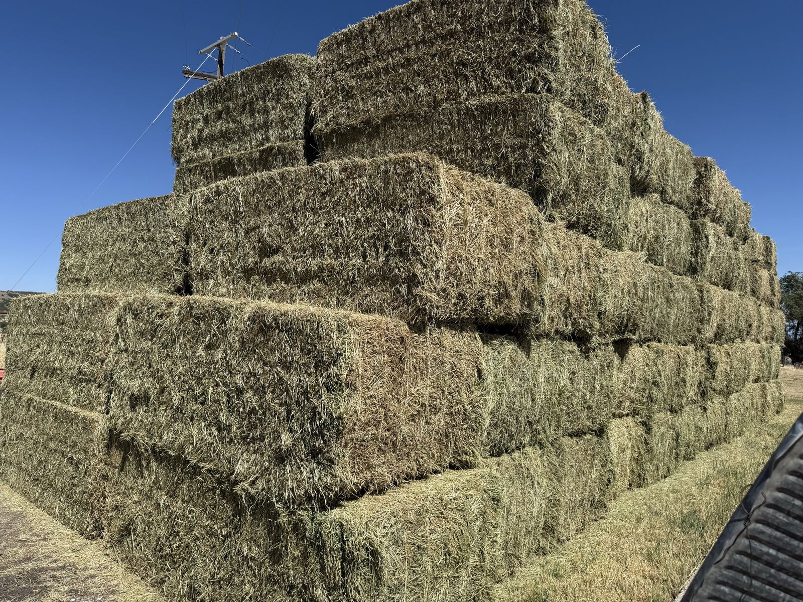 Premium Alfalfa Hay! 3x4x8 big heavy green bales!