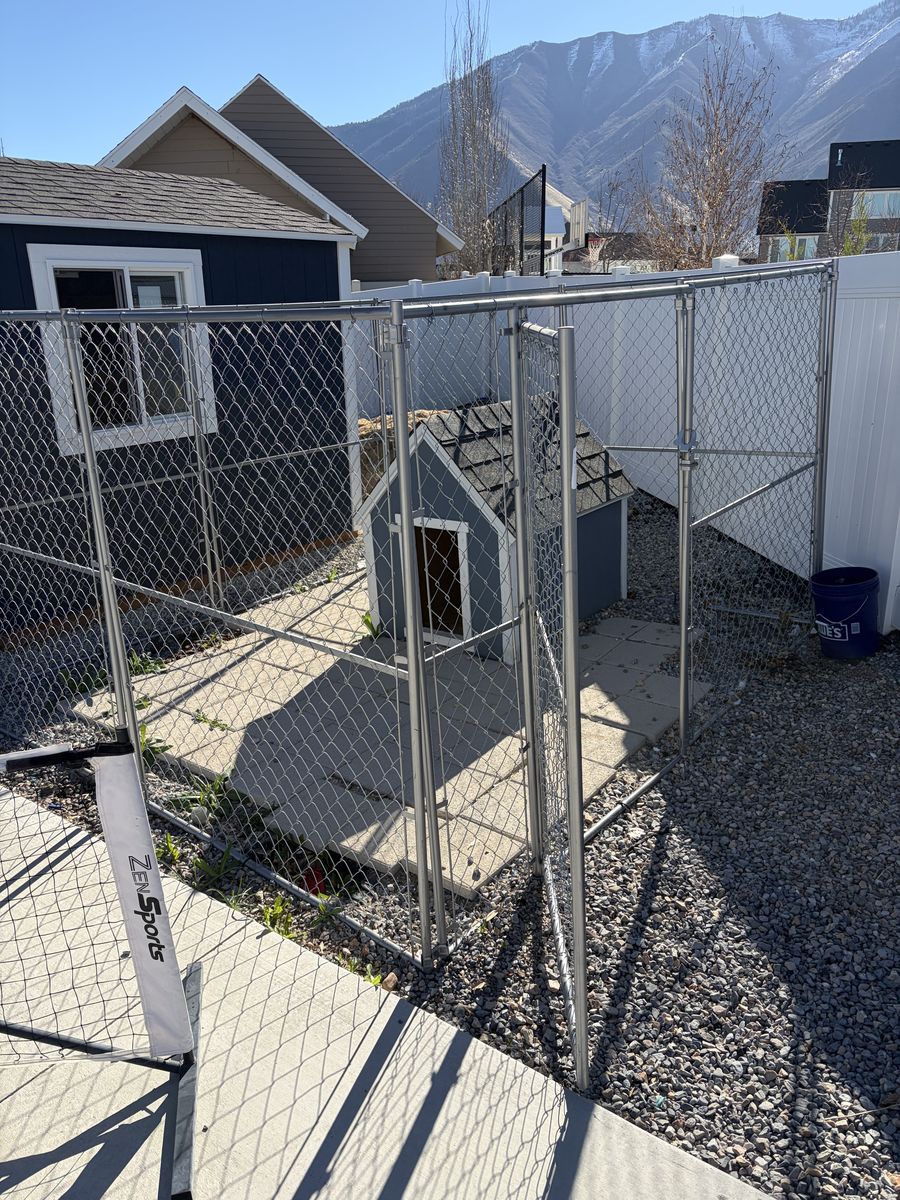 Dog House and other stuff